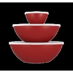 Kit 3 Potes com Tampa Essential 250ml, 2,5l e 3,5l Vermelho Bold Coza