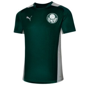 PUMA Camisa De Treino Palmeiras 2022 Masculina – Cor Verde - Tamanho EGG