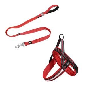 Combo Pet - Guia LED Vermelha e Peitoral LED Vermelho Mimo