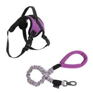 Combo Pet - Guia Antishock Roxa e Peitoral Air Pull Roxo Mimo