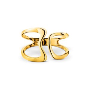 Anel Existência em Ouro Amarelo 18k