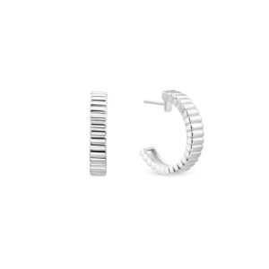 Brinco Argola Gomos em Prata 925