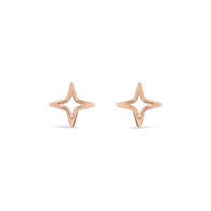 Brinco Life Banho Ouro Rosé Star