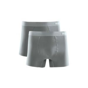Kit 2 Cuecas Boxer Microfibra Cinza Médio G