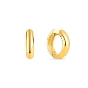 Brinco Argola Lumiere em Ouro Amarelo 18k