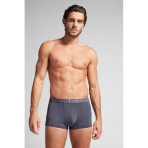 Cueca Boxer De Microfibra Com Logotipo - Cinza