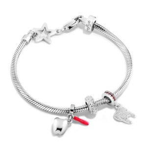 Kit Life Profissão Dentista Prata Cravejado