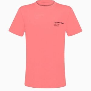 Camiseta Menino 1978 Address - Melancia Camiseta Menino 1978 Address Melancia 10