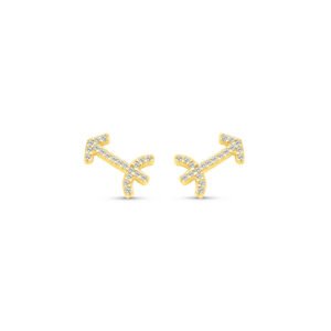 Brinco Life Signos Sagitário Prata Banho em Ouro Amarelo Cravejado