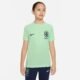 Camiseta Nike Brasil Academy Pro Infantil