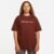 Camiseta Nike ACG NRG Glacier Masculina