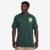 Camisa Polo Nike Sportswear Brasil Matchup Masculina