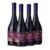 Vertical Terranoble Carignan Garnacha