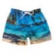Shorts Estampa Paisagens Infantil FPS 30 Azul turquesa P