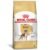 Ração Royal Canin Boxer Cães Adultos – 12kg