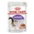 Ração Úmida Royal Canin Castrados Gatos Adultos – 85g