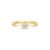 Anel Solitário Forever em Ouro Amarelo 18k com Diamante 0,30 ct