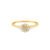 Anel Pavê em Ouro Amarelo 18k com Diamantes