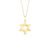 Pingente Medalha Estrela de Davi em Ouro Amarelo 18k