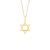 Pingente Medalha Estrela de Davi em Ouro Amarelo 18k