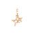 Pingente Life Stars em Liga Rosé com Banho de Ouro Rosé 18k