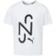 Camiseta Puma Njr Goal Casuals Inf