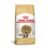 Ração Royal Canin Maine Coon Gatos Adultos