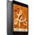 Apple 7.9-inch Ipad Mini 5th 256gb Space Gray Muu32ll/a