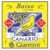 Corda Para Contrabaixo Giannini Gesbx5 0.40-0.125 Super Leve