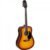 Violão Giannini Eletroacústico Dreadnought Folk Aço Gd-1 Tob