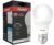 Kit 10 Lâmpada Led Bulbo E27 9w 6500K Bivolt Branco Frio Avant
