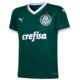 PUMA Camisa Palmeiras Home 2022 Juvenil – Cor Verde – Tamanho 10A