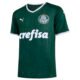 PUMA Camisa Palmeiras Home 2022 Masculina – Cor Verde – Tamanho GG