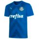 PUMA PUMA Camisa Palmeiras Goleiro Home 2022 Masculina – Cor Amarelo